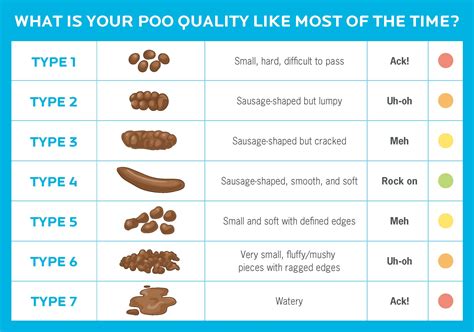 Do you poop more as a vegan